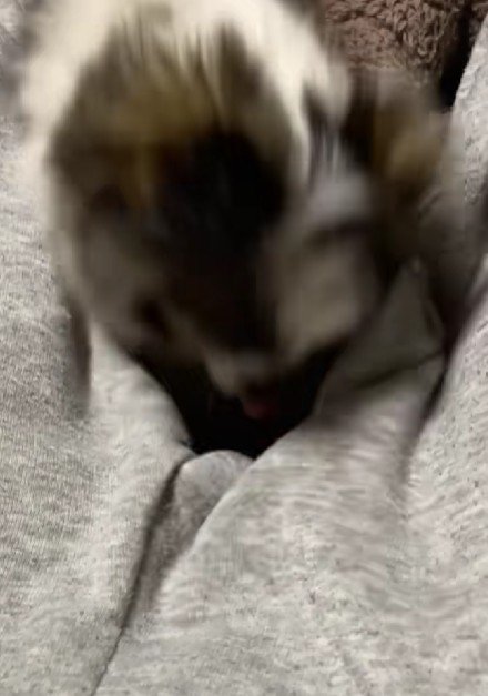 勢いよく頭を上げて…