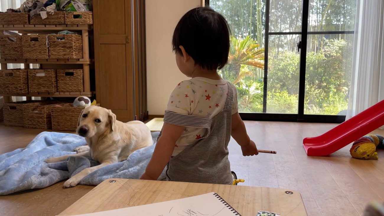「まだ出るかな？」と期待してじーっ