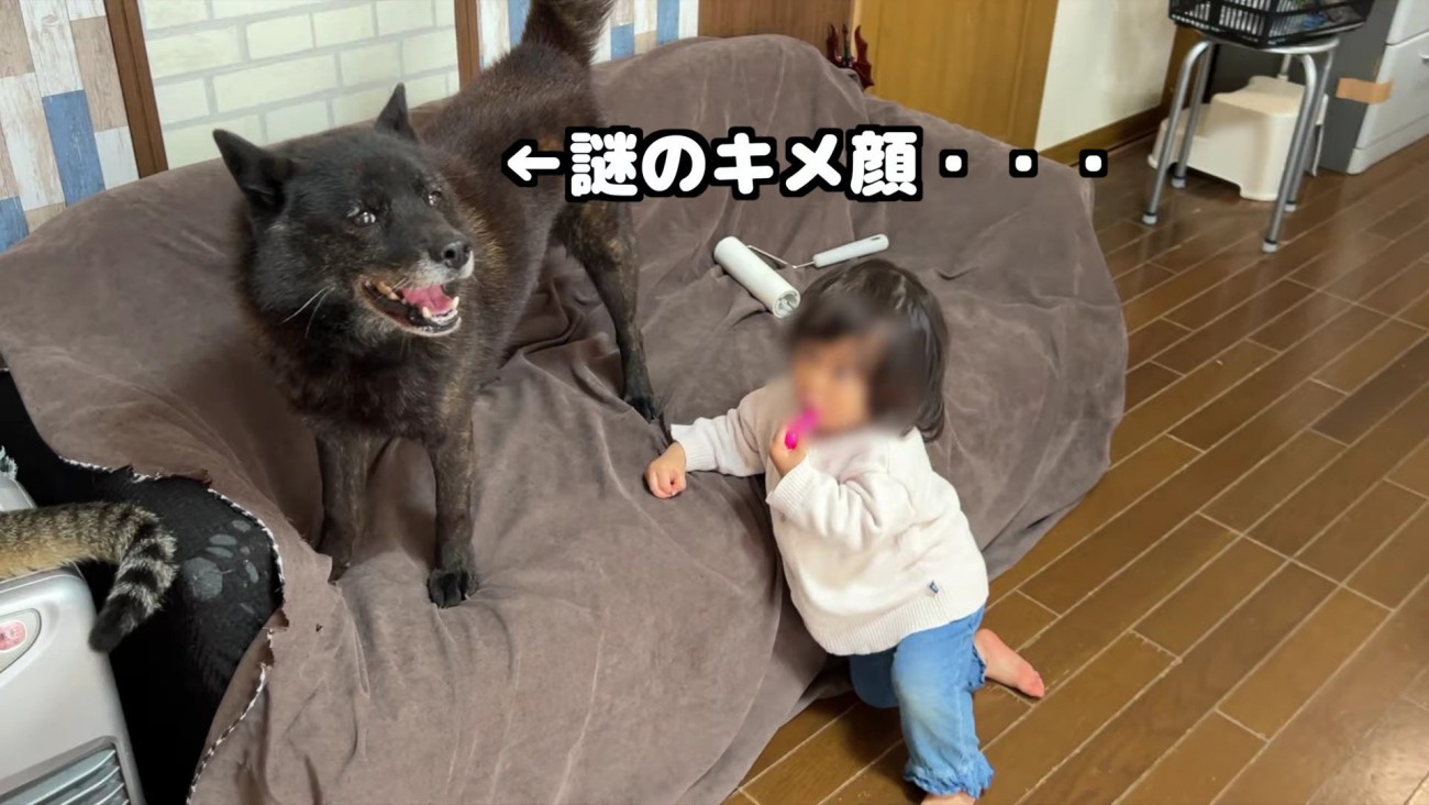 一休さんとイトちゃん