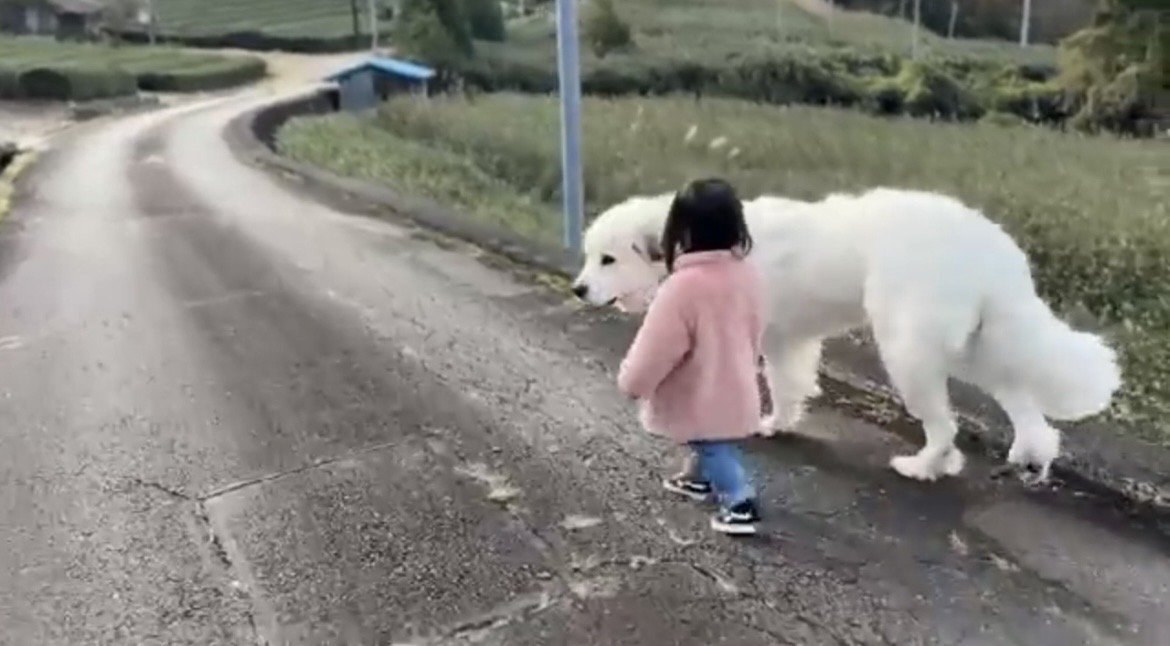 並んで歩く犬と子ども