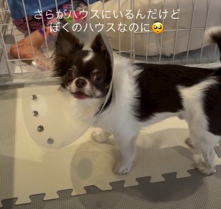 「ママ！ちょっときて！」