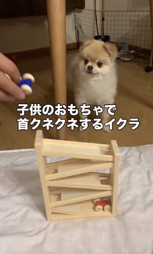 「きになる…」