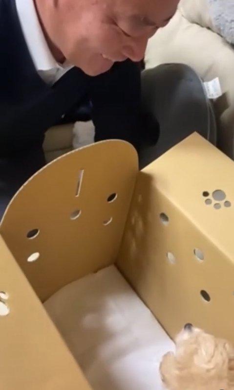 お父さんと子犬