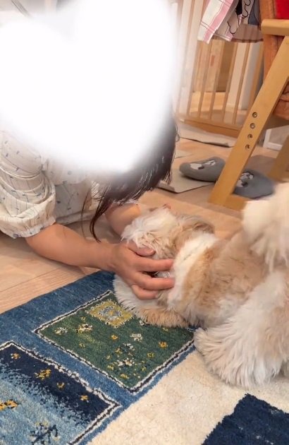 kokoちゃんをなでるママ
