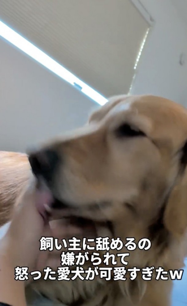 女の子が手を避けます