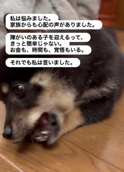 この子を失いたくない…