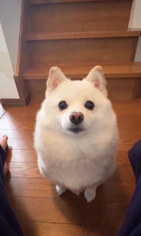 甘えん坊なベラちゃん3