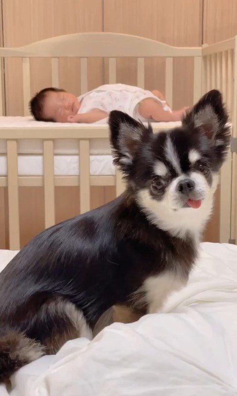 すずちゃんと赤ちゃん2