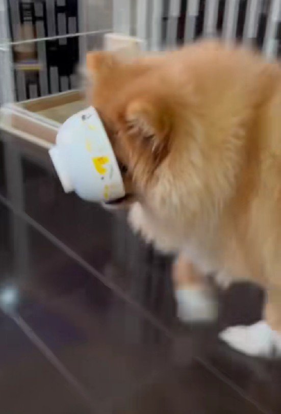 「おっとっと…」