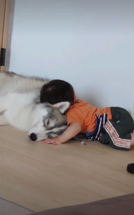 「このモフモフ、最高…」