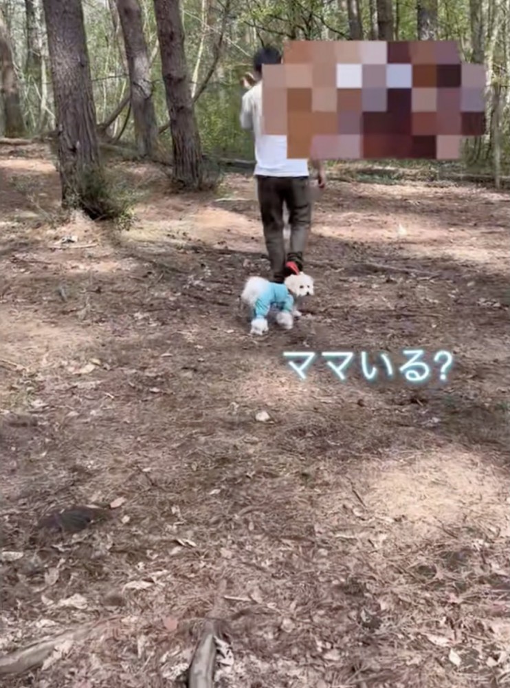 「ついてきてね！？」