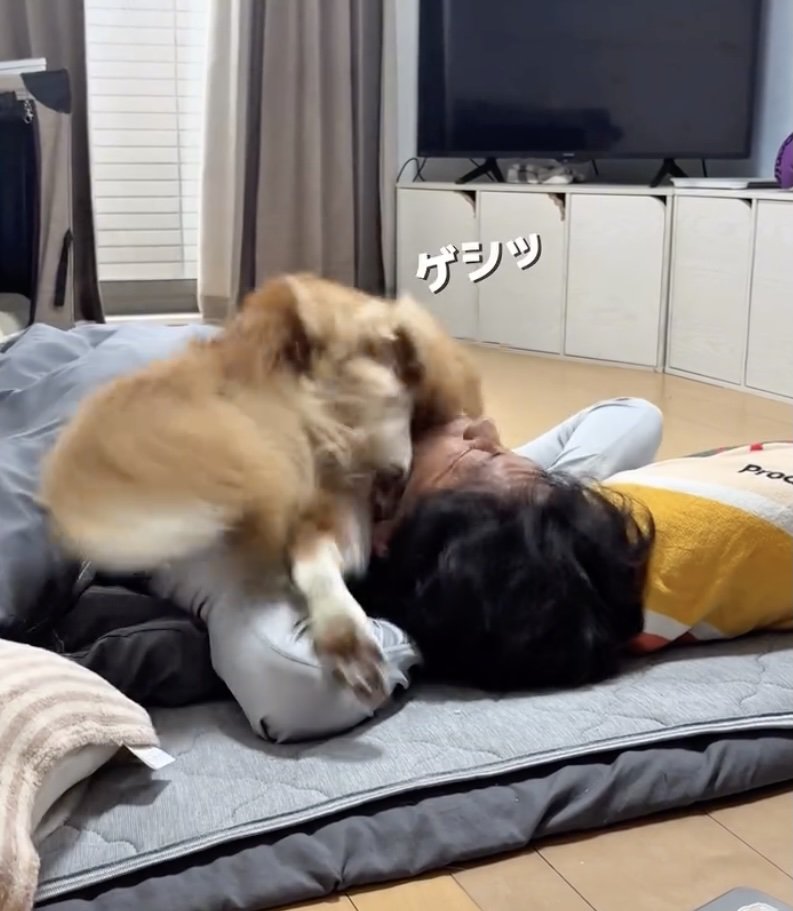 パパの顔面を蹴り