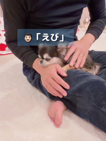 「そろそろネンネだよ」