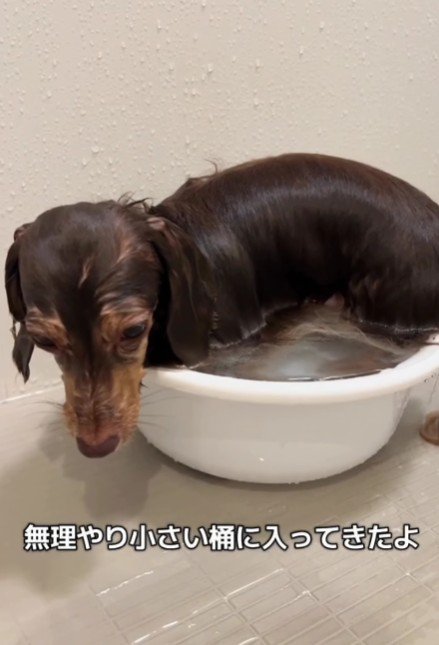 「これでいいか…」