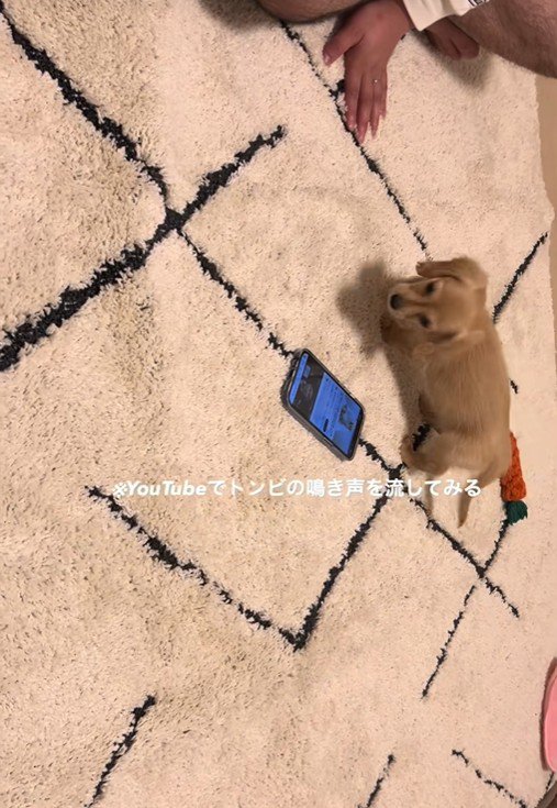 びっくりして振り向くツキちゃん