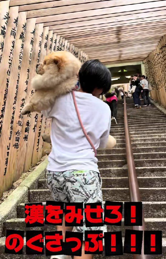 米俵作戦に切り替えよう！！