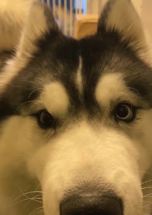 たまらない光景…♡