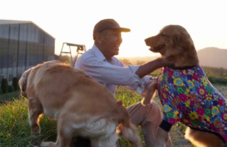 幸せな光景に心温まる…