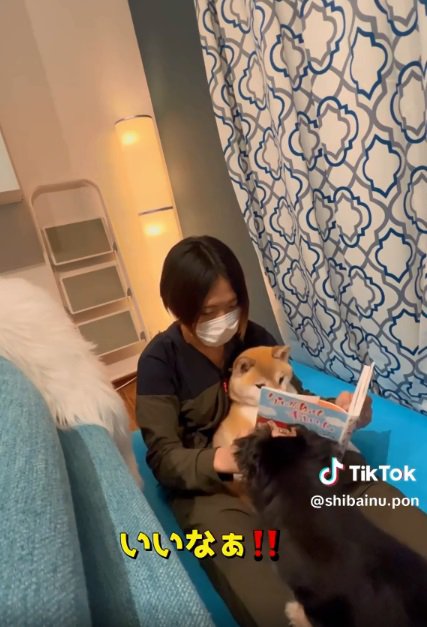 仲間に入りたいチビさん