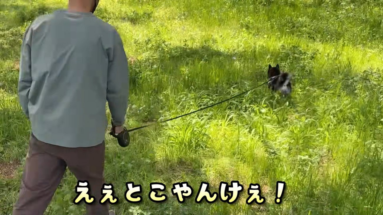 その後は公園でピクニック