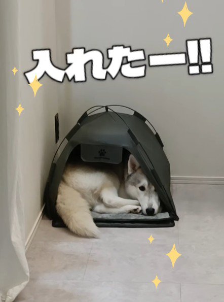 ミニテントなのに入れた！！