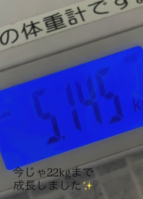 たった5キロしかなかったよ