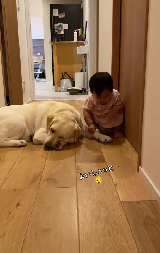 先に進むことができない