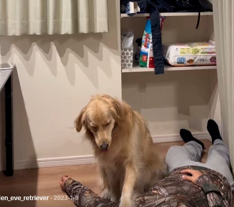 左手を乗せるイヴちゃん