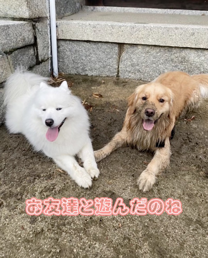 「たのしいよ」