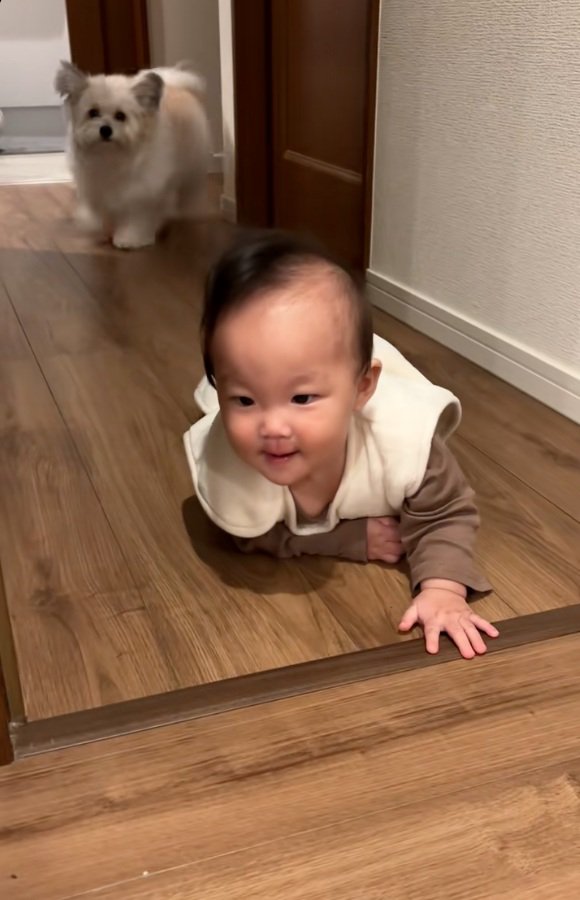 姿を現した小太郎くん