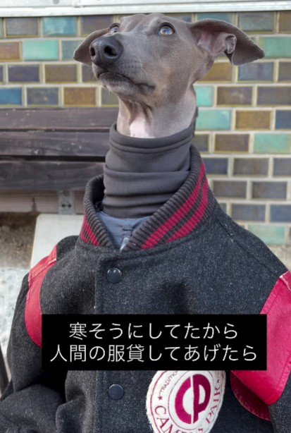 違和感なさすぎる姿にキュン♡