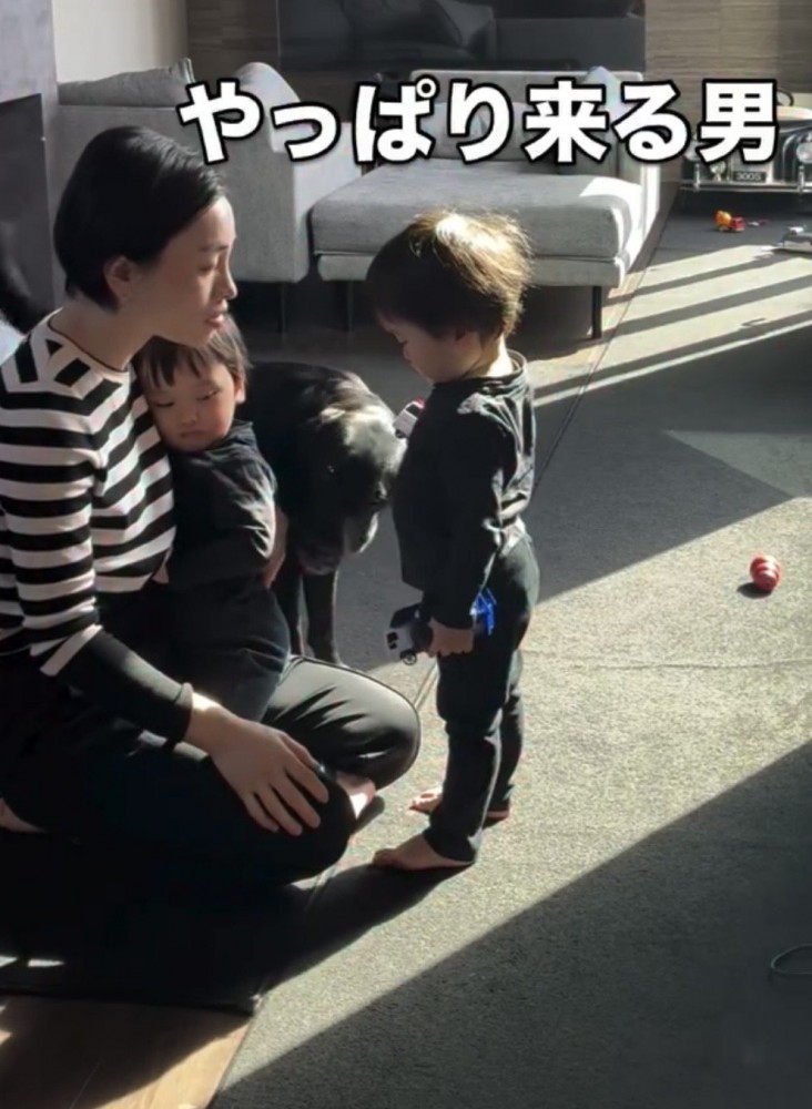 人の間に近づく犬