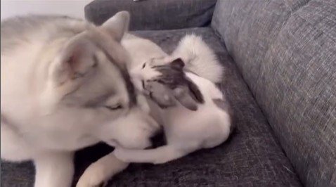 くぅちゃんを離さないりりたん3