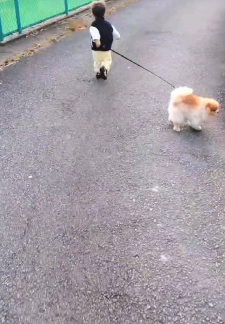 リードを引いてもらうことも