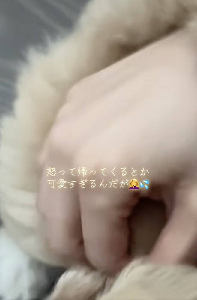 ナデナデしてもらいます