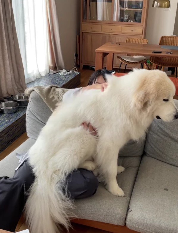 34キロの体がのしかかる…！