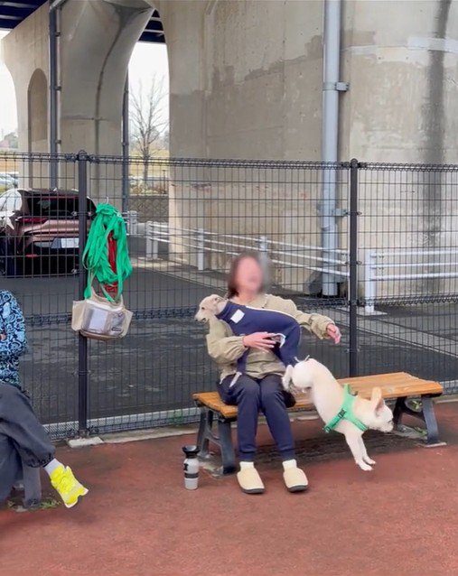 スキップ君の割り込みの手口2