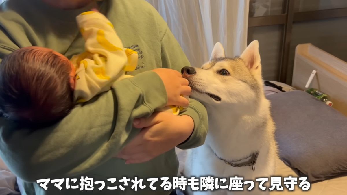 いつでも寄り添ういちみちゃん