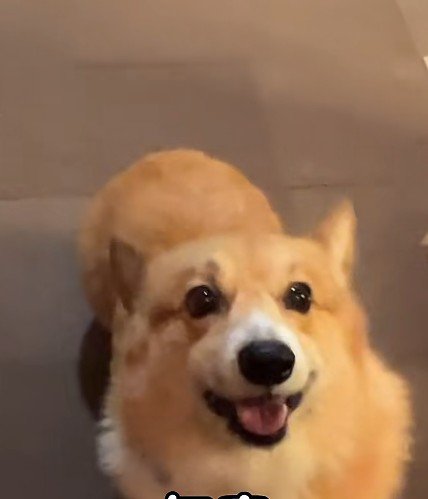 最後にはニッコリ