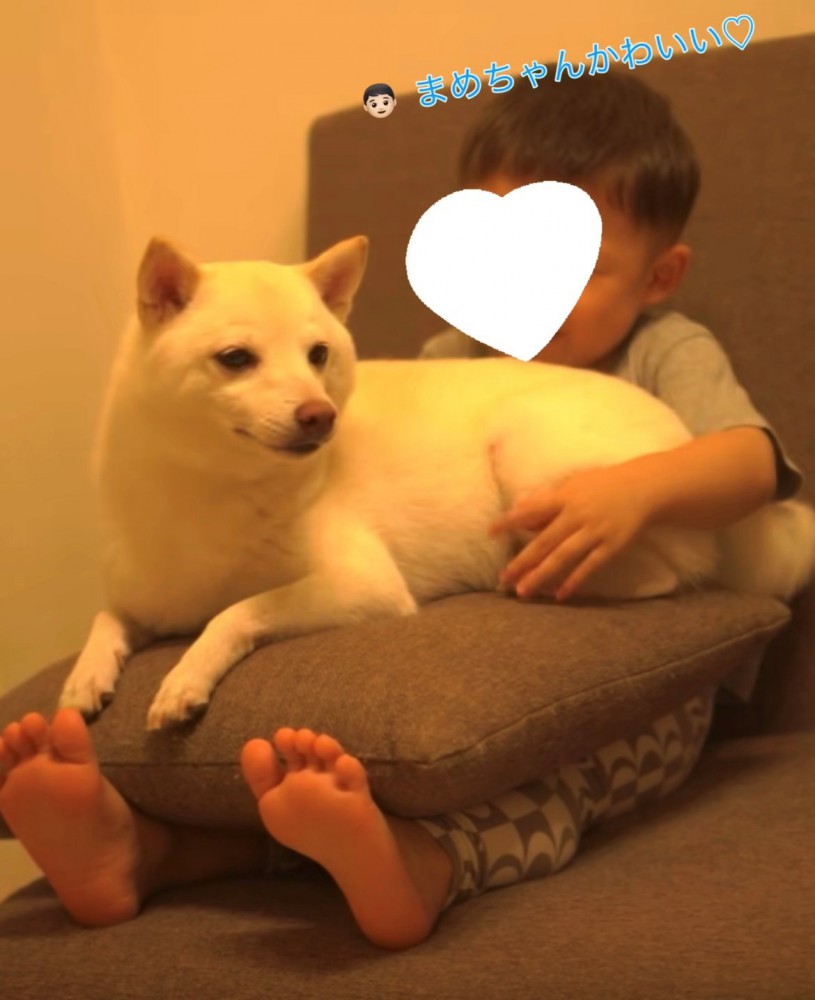 ソファでくつろぐ赤ちゃんと犬