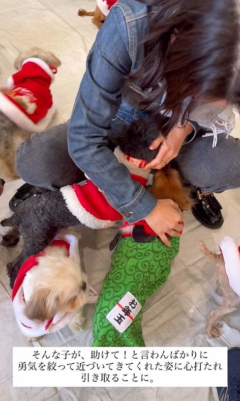 ラホちゃんとの出会いと現在4