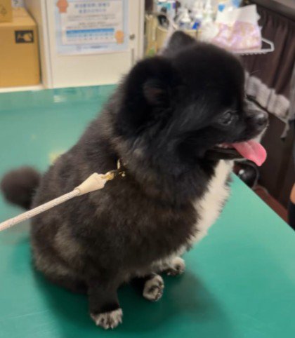 「今日は何をするのかな？」