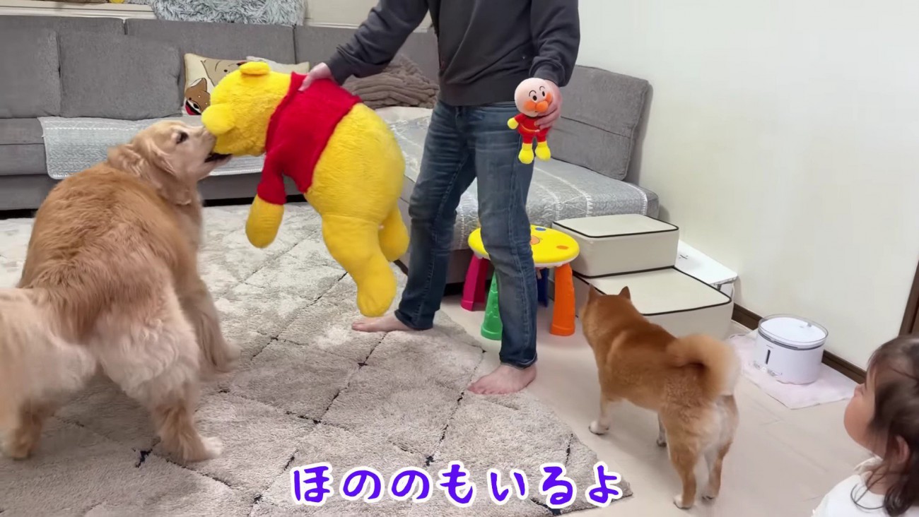 「はやく！！」