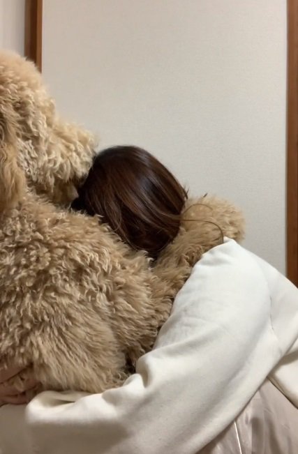 頭をなめるカムくん