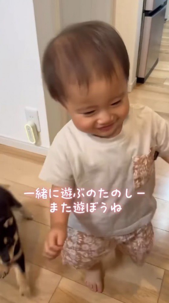 笑顔で歩く男の子と、その隣をついていく子犬