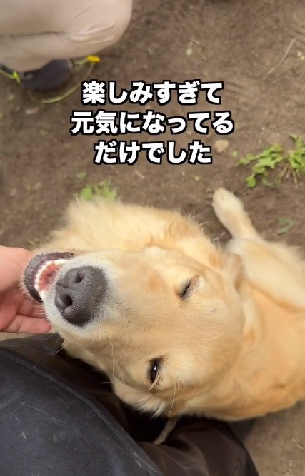 笑顔のちあちゃん