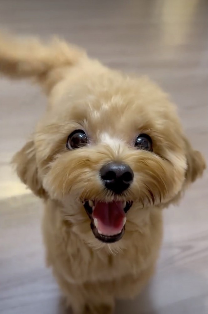 変わらない笑顔！