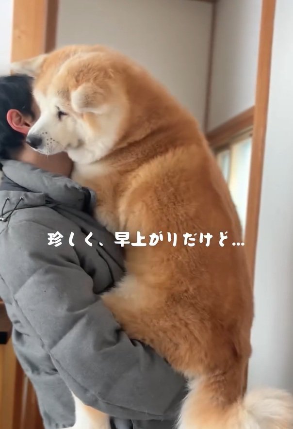 抱っこされるおはるちゃん