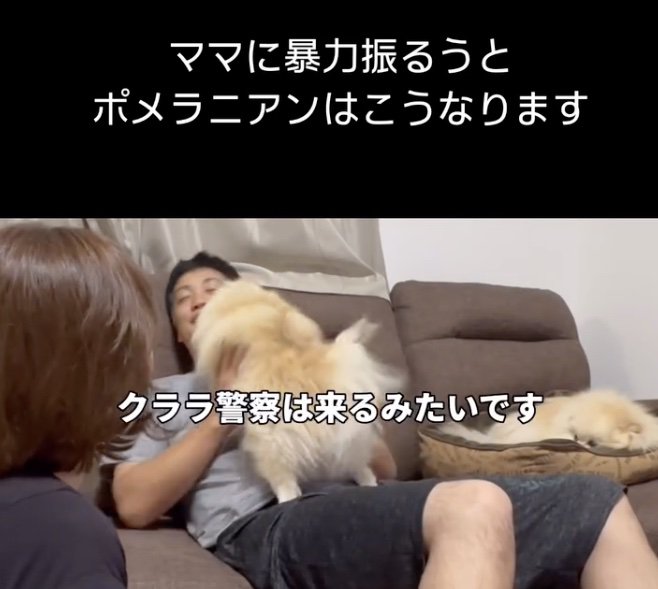 「暴力はゆるさないっ」