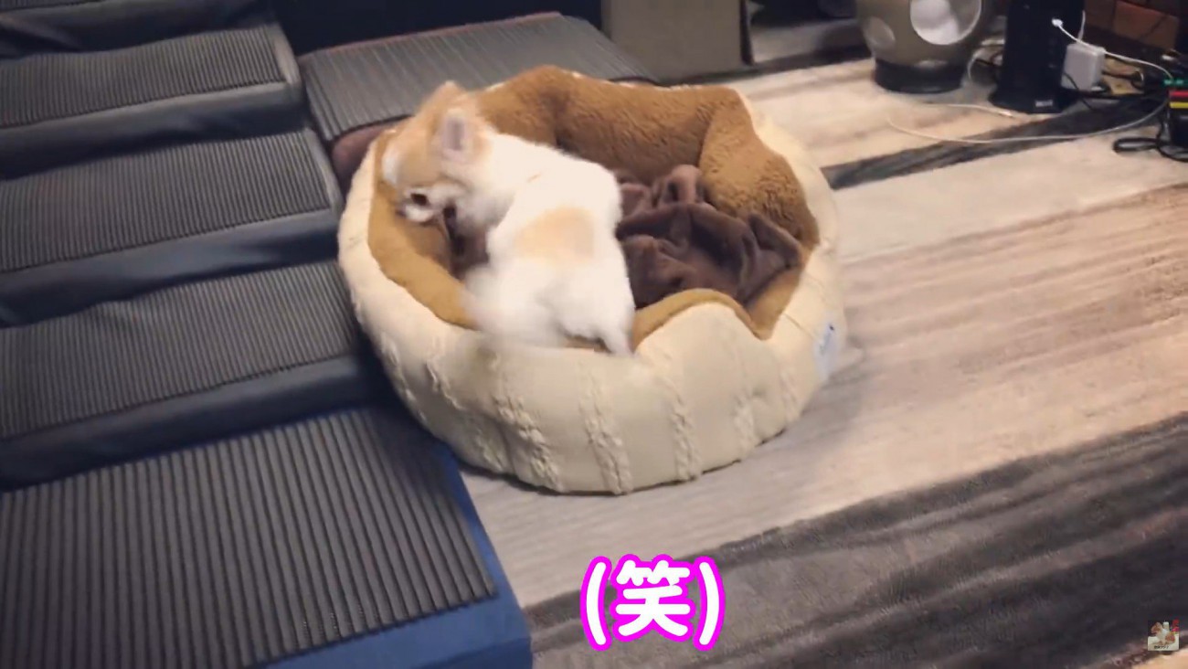 「でもやっぱり行きたくない！」